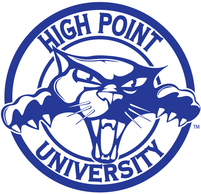 High Point Panthers 2004-2011 Alternate Logo diy iron on heat transfer